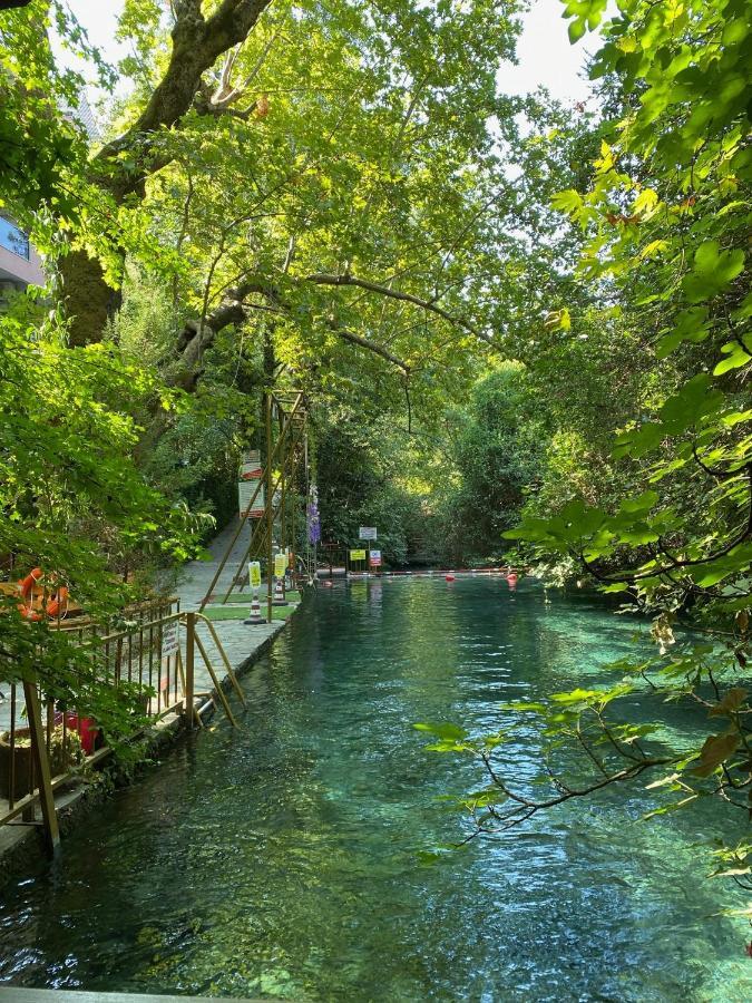 Yuvarlakcay Cinar Butik Otel Koycegiz Bagian luar foto